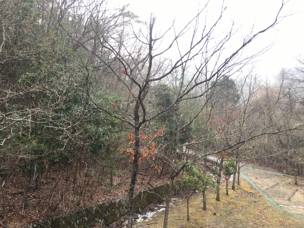 霙が降る天体観測会