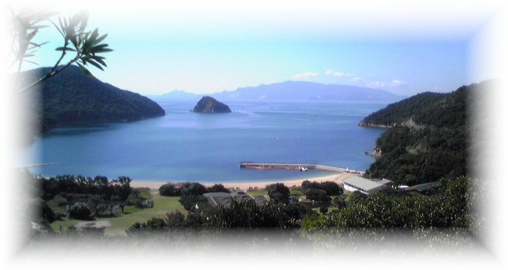家島 西島 星空 天体観測 夜光虫