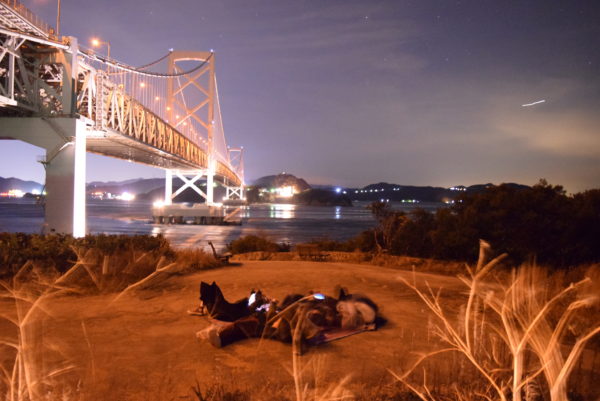 鳴門大橋の夜景と星空