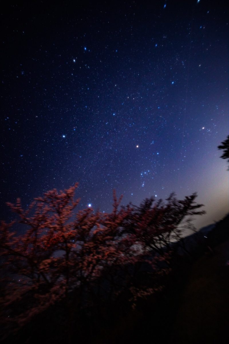 みさと天文台の星空。天体観測サークル