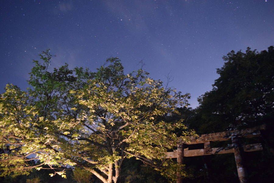 鳥見山公園の星空