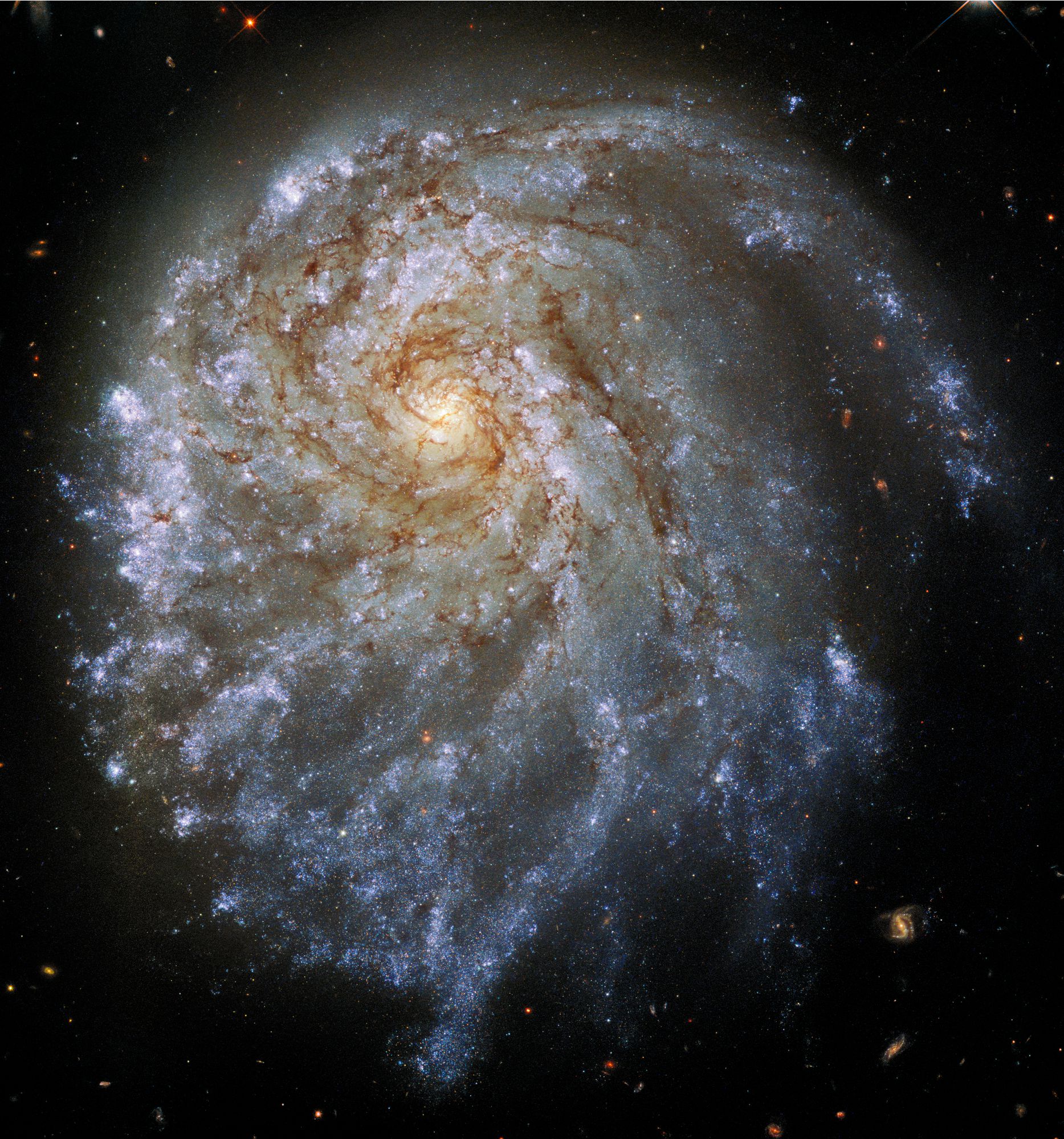 銀河間の綱引き「偏った銀河 NGC 2276」(HIDA)