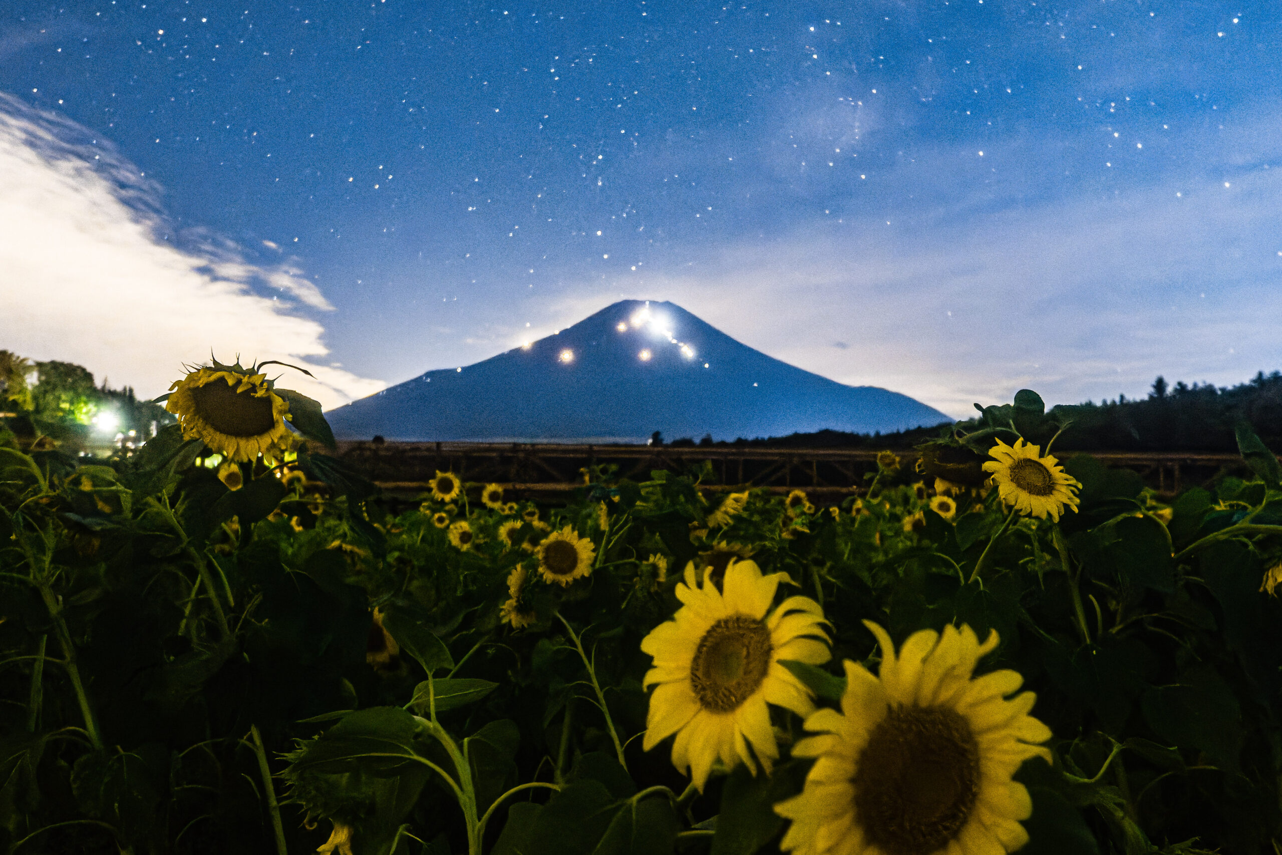 8/10 富士山と向日葵とペルセウス座流星群(やまだ)