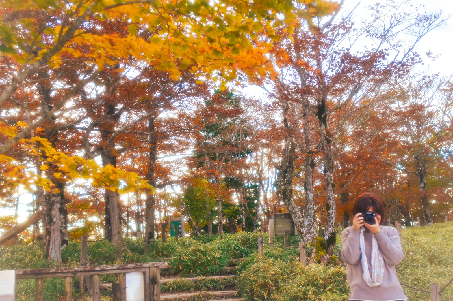 10/22 天体観測会 大台ケ原3rd あるーひ、もりのなかー♪